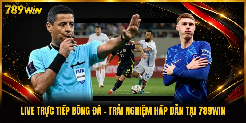 Live Trực Tiếp Bóng Đá